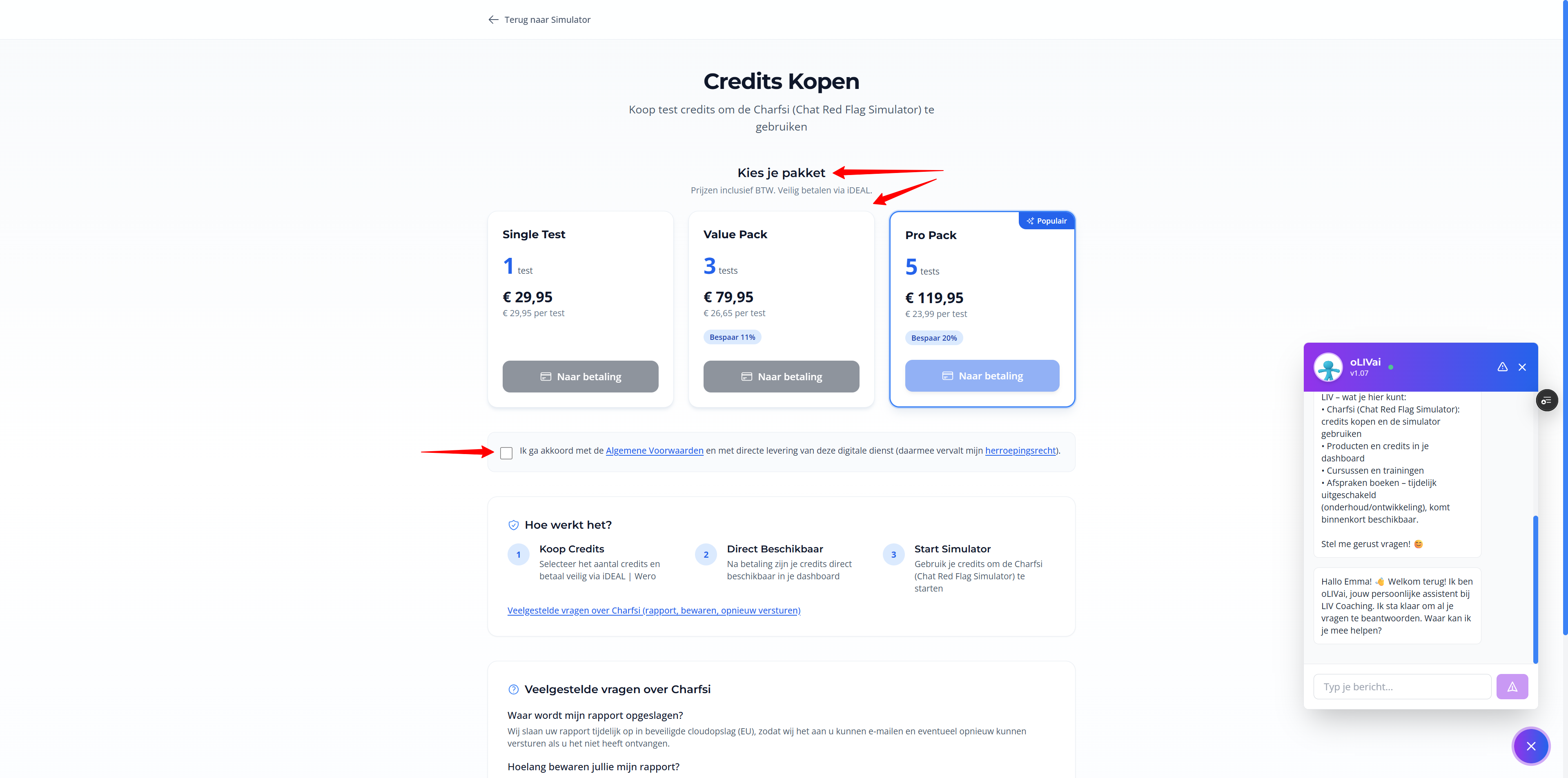 Stap 2: Credits kopen β Checkout: Screenshot: betalen